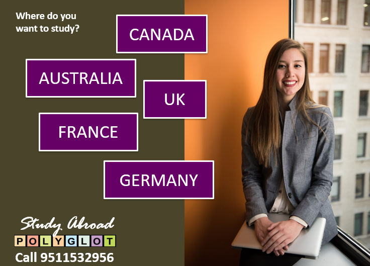 Should you still plan to STUDY ABROAD?