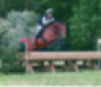 Wilton 30 Jul 17.jpg