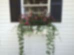 Buttermilk window