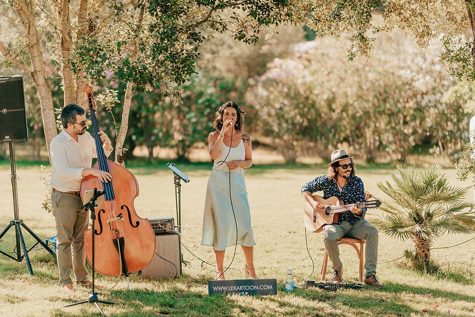 Disfruta de una Experiencia Musical Inolvidable en Mallorca - Le Kartoon Band
