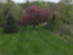Sandwich back yard