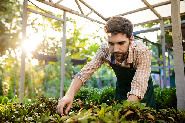 joven-apuesto-jardinero-alegre-sonriendo-cuidando-las-plantas.jpg