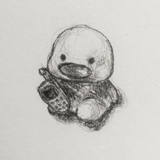 duck