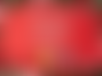 BW BOE December Meeting Synopsis