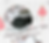 Shih Tzu Posy_edited.png