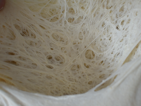 A technical analysis on how to choose the W index or flour's strength