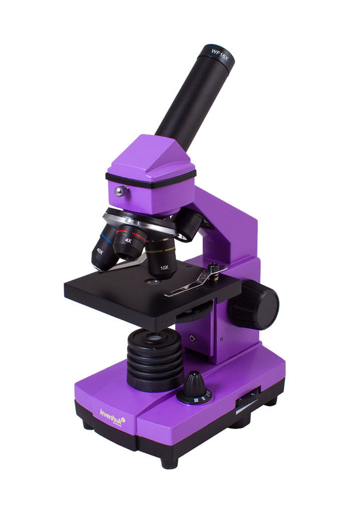 Levenhuk Rainbow 2L PLUS Amethyst Microscope