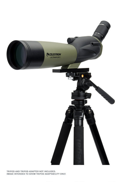 Thumbnail: Celestron Ultima 20-60x80mm Angled Zoom Spotting Scope with Smartphone Adapter