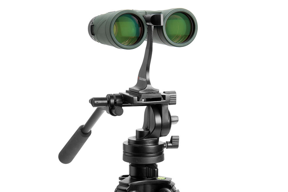 Thumbnail: Celestron Nature DX 10x42 Roof Prism Binoculars