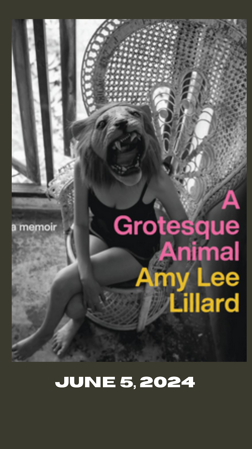 Exile in Guyville by Amy Lee Lillard, coming May 2024