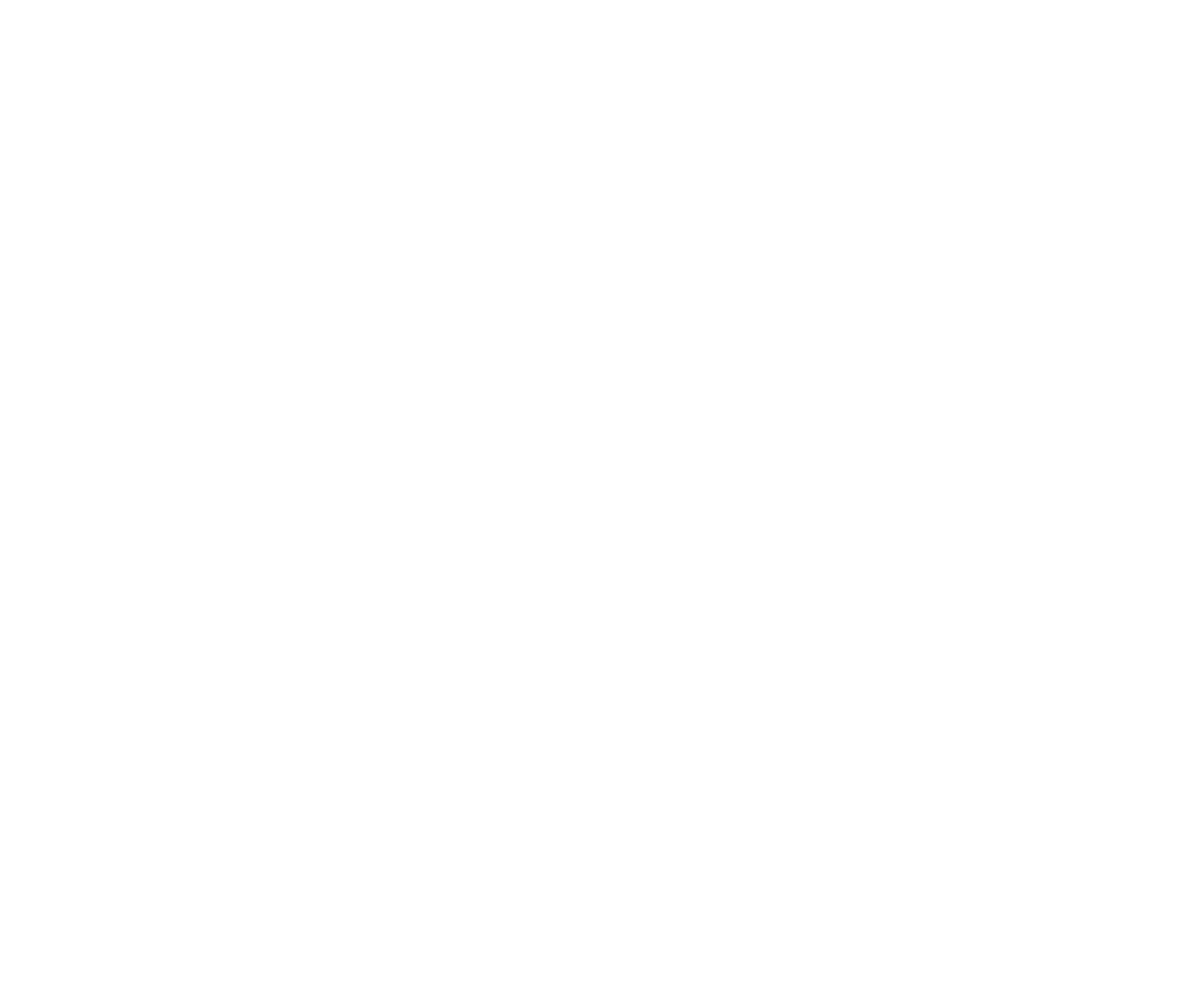 specs of AGS D2/4 (DY) Ballast