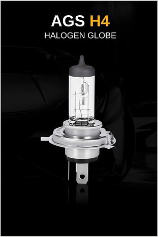 AGS H4 Halogen Globe