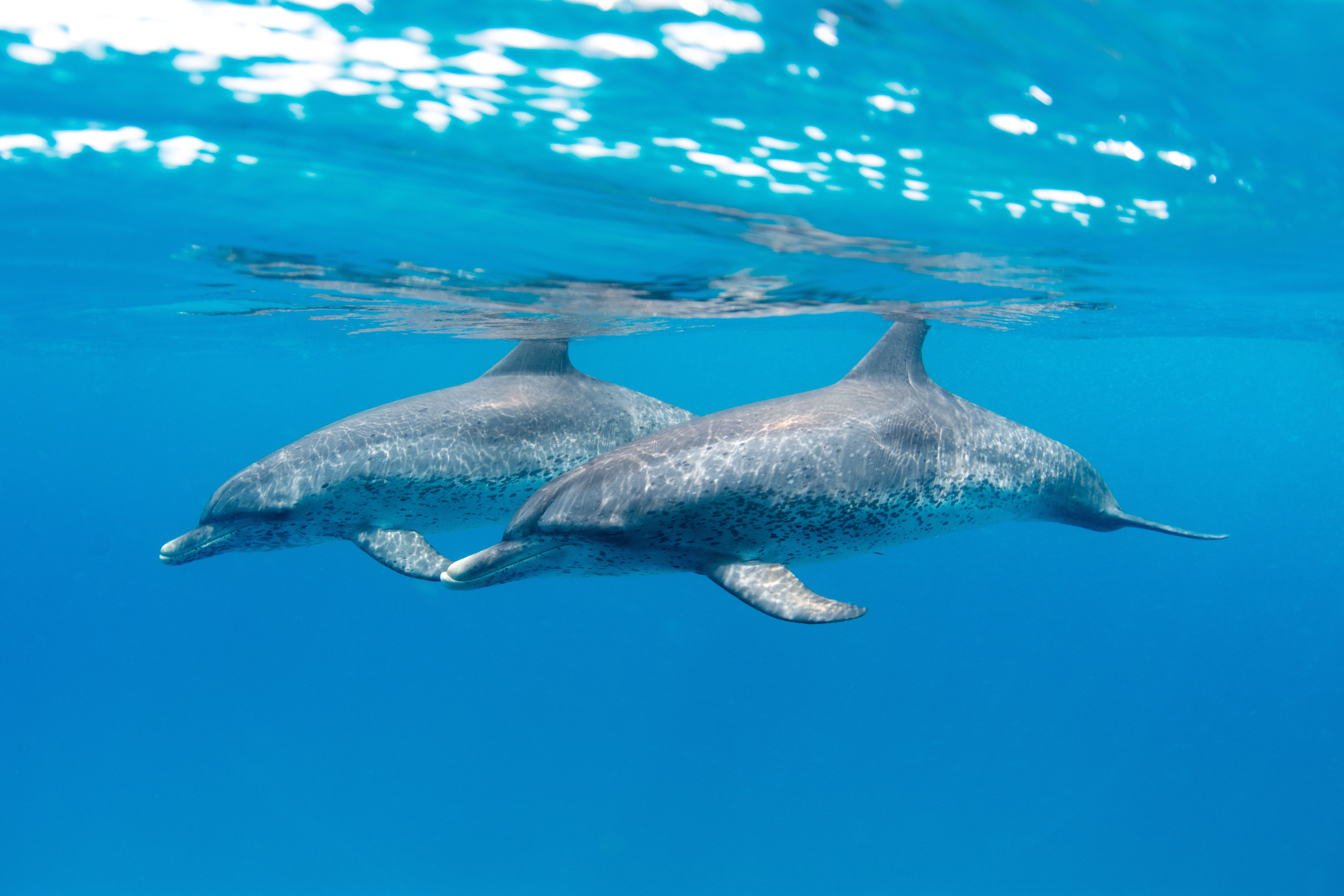 'REFLECTION' - HAND-STRETCHED CANVAS