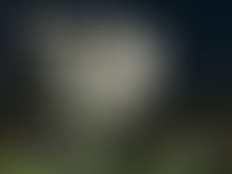 Sau lâu đài dát vàng, Lý Nhã Kỳ mua biệt thự mới 50 tỉ