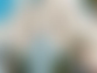 Hot TikToker Việt sống trong biệt thự 500m2 trị giá 40 tỷ đồng