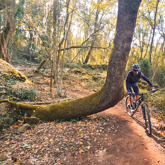 Experiencia Pla Experience