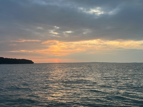 Isle of Wight – reflections on an unforgettable project