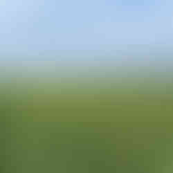 Pla Experience Banyoles