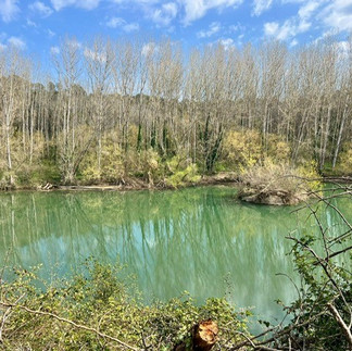 Pla Experience Territory MTB