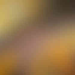 Pla Experience Banyoles