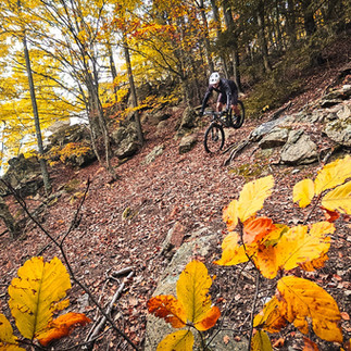 Pla Experience Banyoles