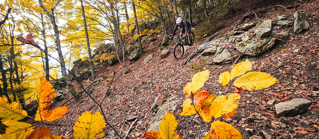 Pla Experience Territory MTB