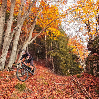 Pla Experience Territory MTB