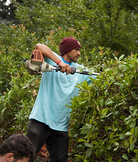 MicrosoftTeams-image (17).png