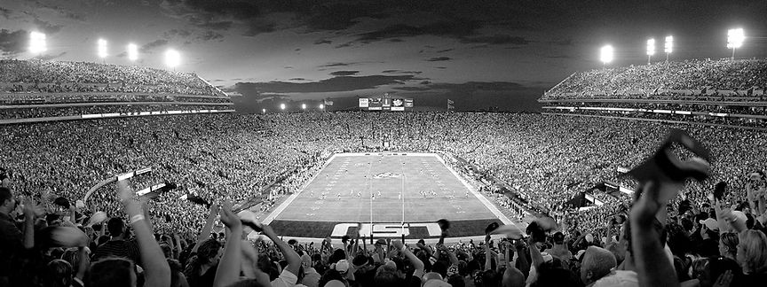 lsutigers_edited.jpg