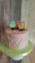 Owl themed cake