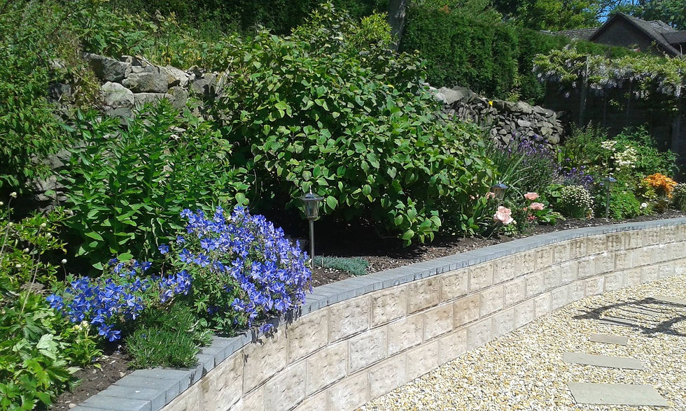 12885923_1250759534937755_4235639900325136292_o_1250759534937755