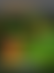 Looking for a Marijuana & THC Education Course?