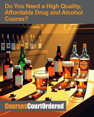Do You Need A High-Quality, Affordable Drug and Alcohol Course?