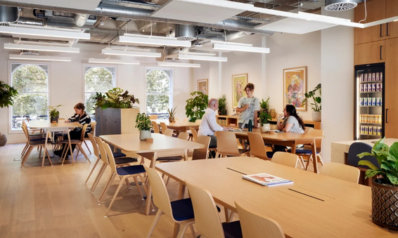 x+why FiveFields coworking space