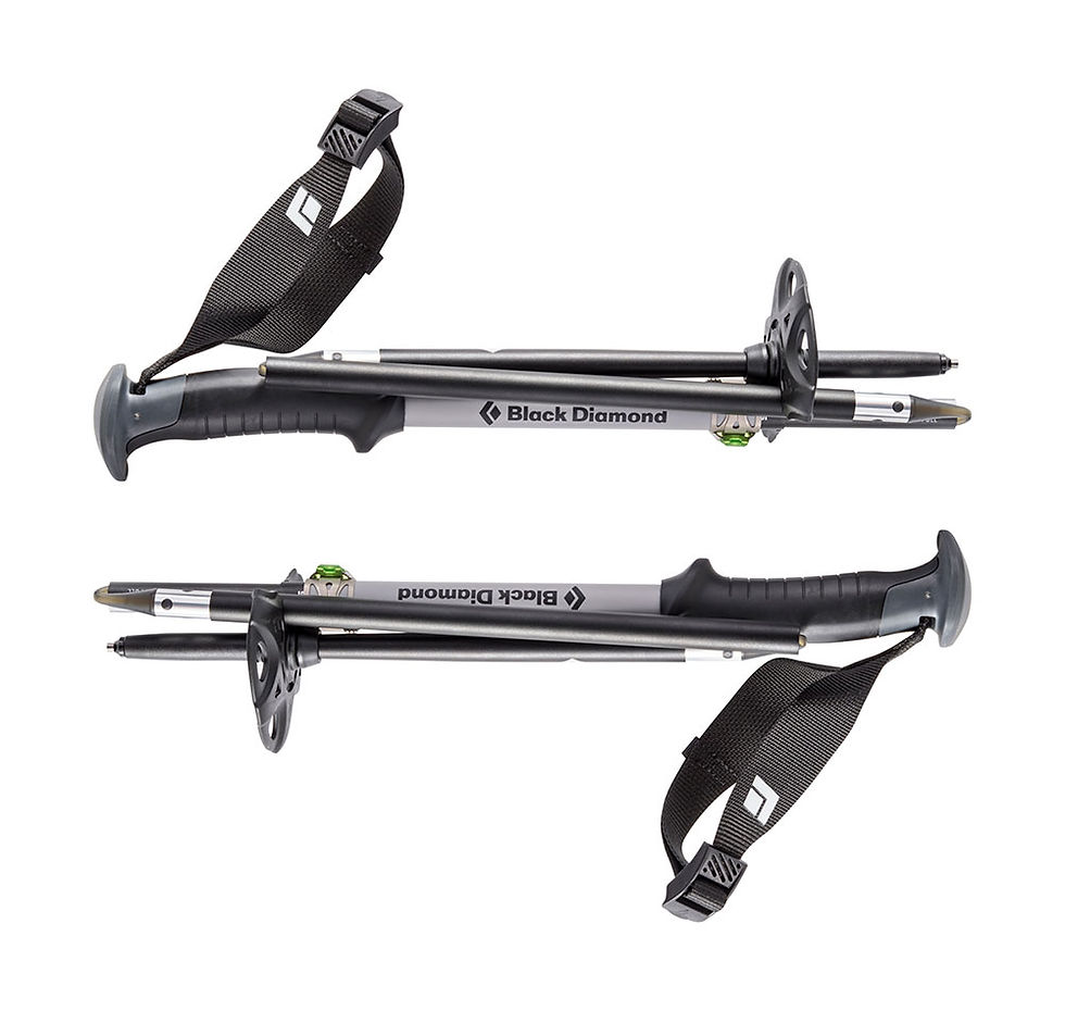 Thumbnail: Black Diamond Compactor Poles