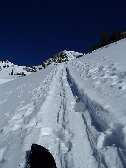 Splitboard