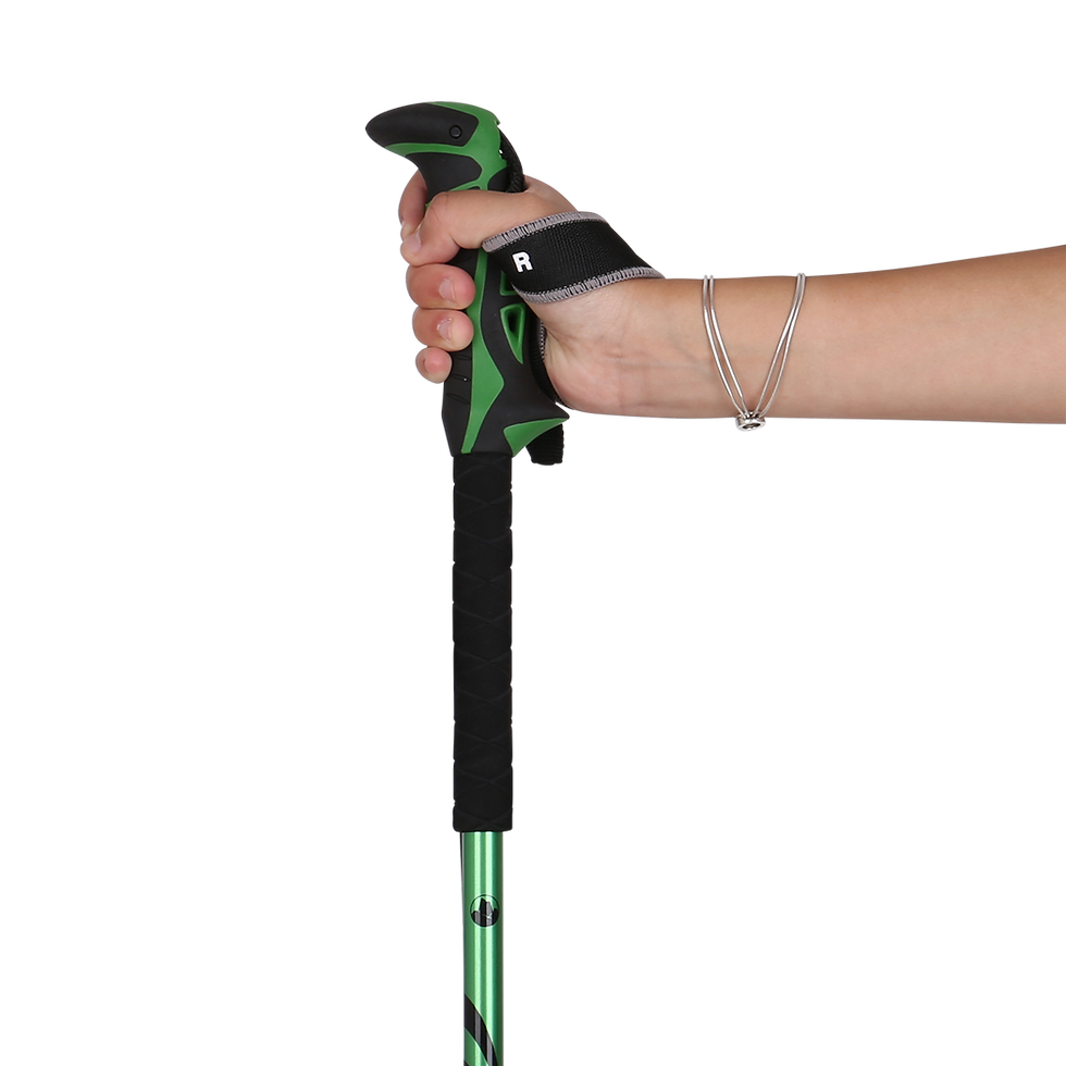 Kohla Peak Freeride Poles