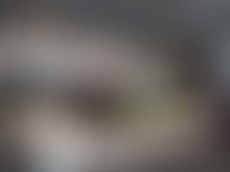 Almanya Düsseldorf Evim Türkiye 2019 Fuar Standı