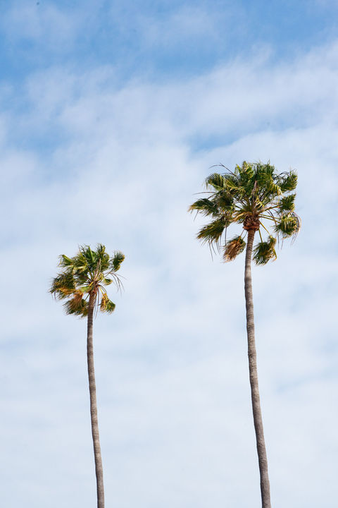 SUMMERTIME