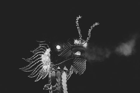 DRAGON