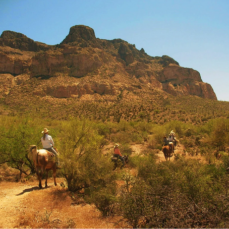 Saddle Up for Adventure: Horseback Riding in the Desert of Scottsdale