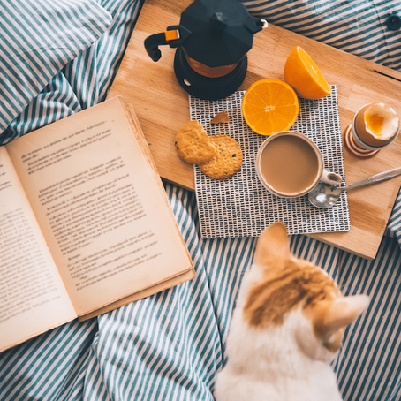 Creating a Pet-Friendly Vacation Rental: Tips and Tricks