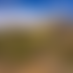 Orienteering in the Prescott National Forest