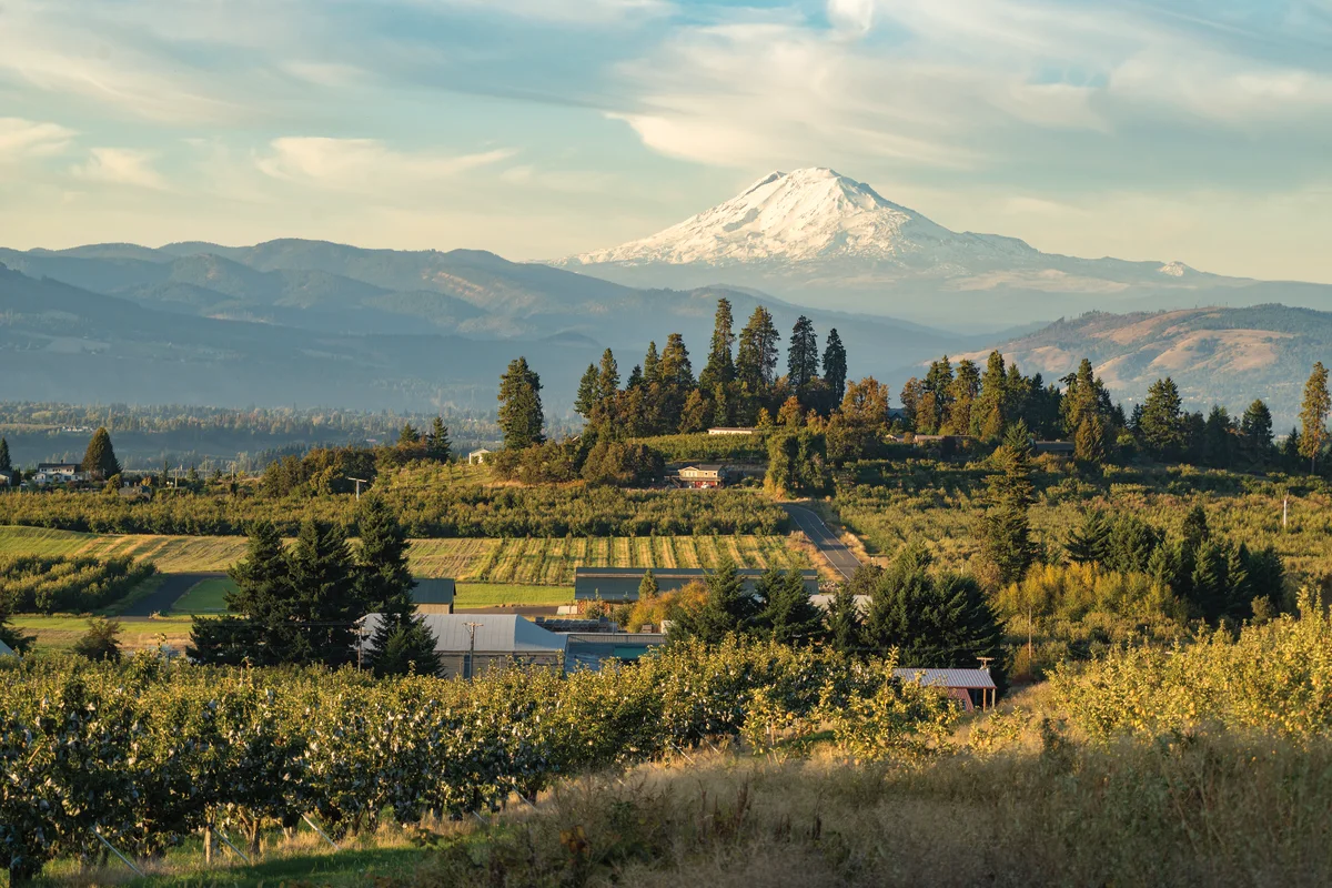 pomo_1016_fall_day_trips_apples_featured_kke0yc.webp