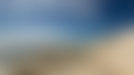 Programa Científico 360º