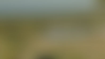 Exposição Comercial Completa