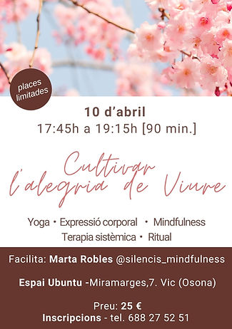 Taller 10 Abril VIC.jpg