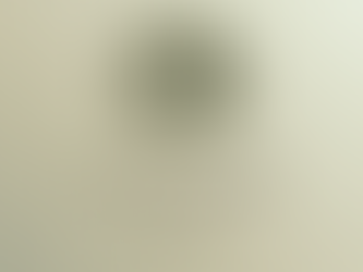 Bi-Weekly Updates on International Politics: Civitas One Magazine