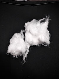 Recycle Polyester Fiber 1.jpg