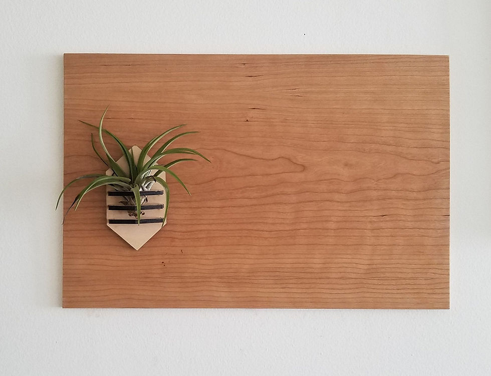 Thumbnail: Wooden Magnet Board